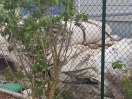 Foto: Müll auf dem Sportplatz 
